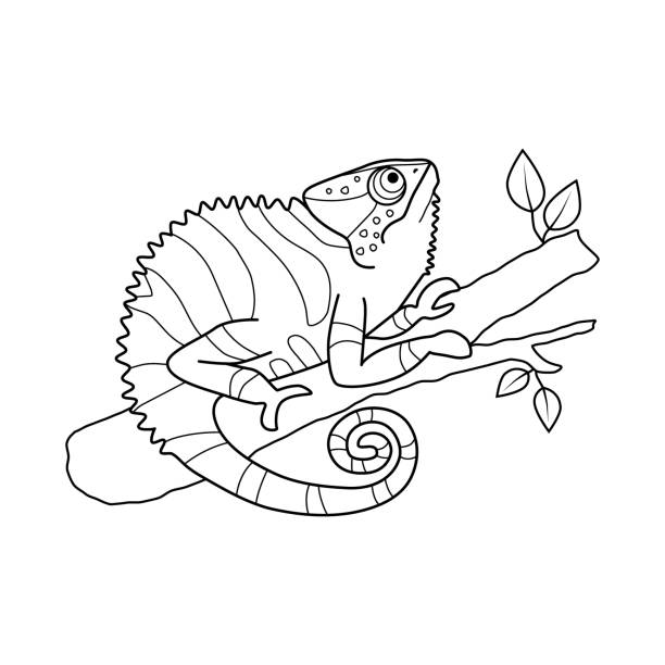 kameleony