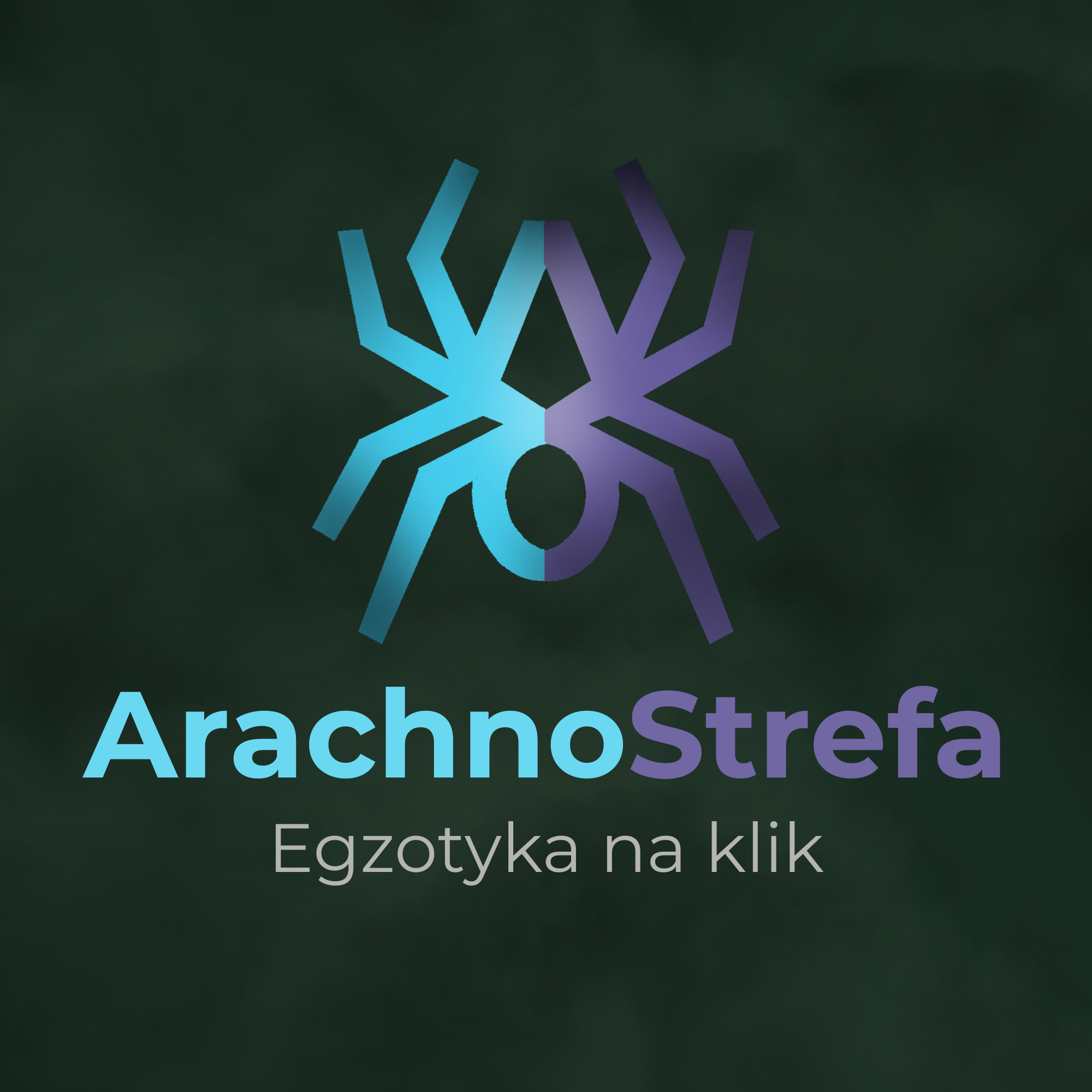 ArachnoStrefa