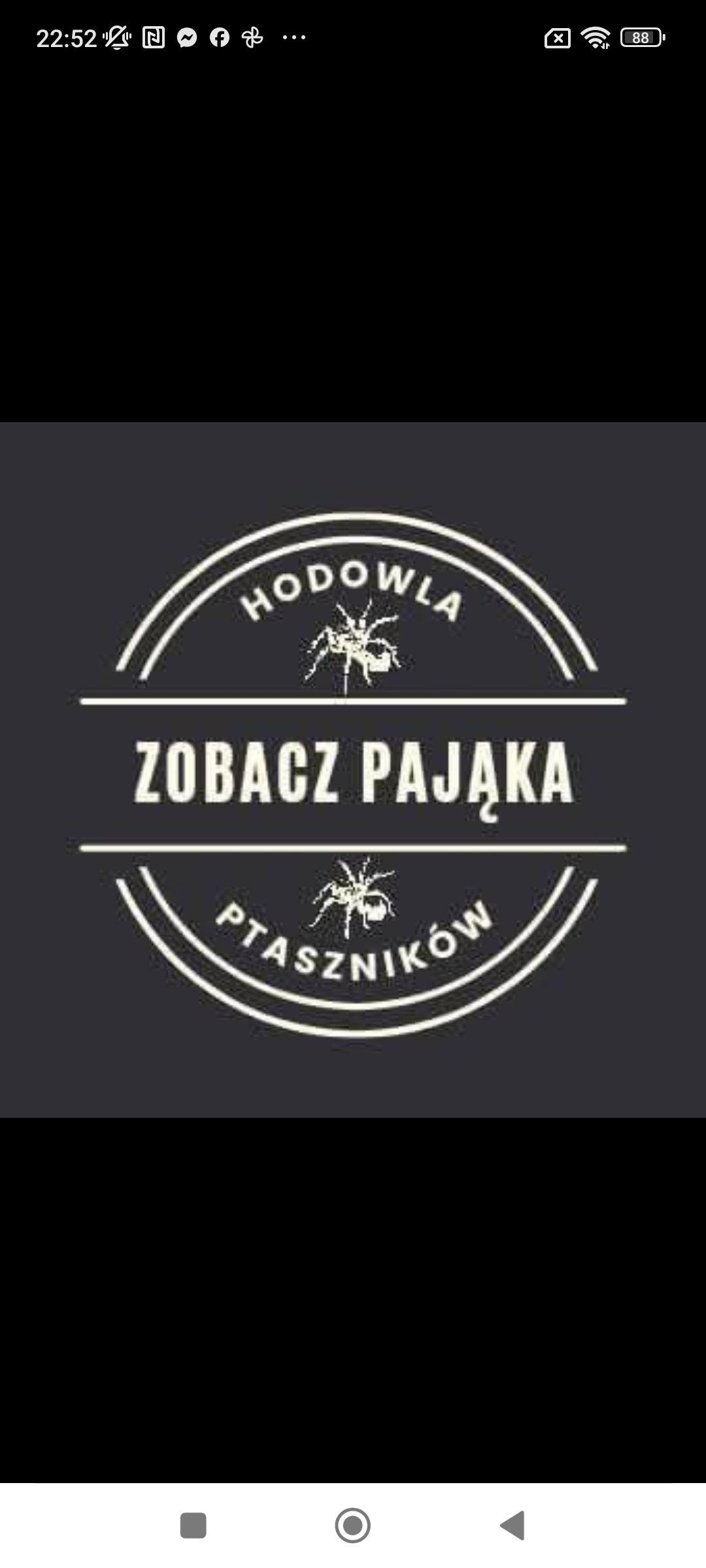 Zobacz pająka