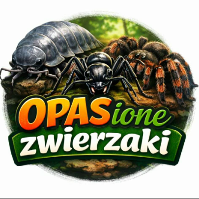 jakub opas 